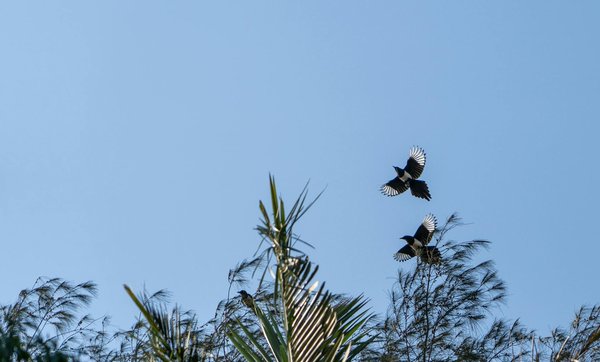 Achieve greater stability: how dual-task exercises enhance stroke recovery